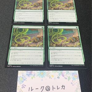 マジック：ザギャザリング MTG カルロフ邸殺人事件 * 毒を選べ 4枚セット