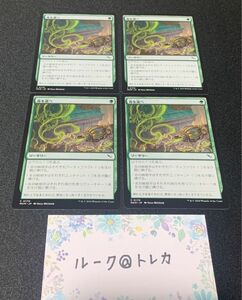 マジック：ザギャザリング MTG カルロフ邸殺人事件 * 毒を選べ 4枚セット