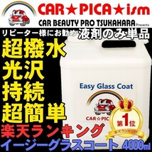 イージーグラスコート 4000ml 液剤のみ 瞬間超撥水 ガラスコーティング剤 メンテナンス ワックス 車 コーティング_画像1