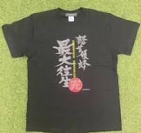 怒首領蜂最大往生　Tシャツ　M　怒首領蜂　ケイブ　CAVE　未使用