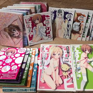 これはゾンビですか?【DVD全巻】【第1期の全話収録】【OVA版DVD2点付属】【こぶいち/むりりん】【宅急便送料無料】値引き不可