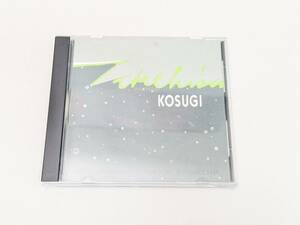 KOSUGI TAKEHISA VIOLIN IMPROVISATIONS CD