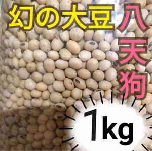 自然栽培　幻の大豆『八天狗』1kg 熊本県産