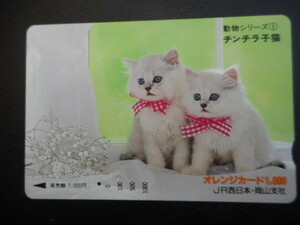 ** один дыра ** JR запад Япония * Okayama главный фирма 1000 иен талон <[ животное серии ①] шиншилла . кошка > Orange Card 