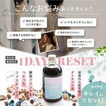  Re:SET ファスティング 【お手軽ファスティングセット】1 DAY RESET ダイエット セット 1週間_画像4