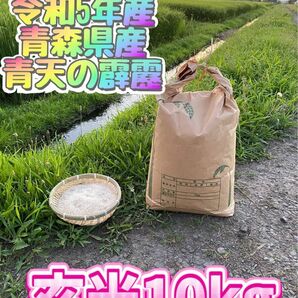 お米　令和5年度産　青森県産　最高峰ブランド米「青天の霹靂」産地直送　10キロ　玄米　減農薬　米　ごはん　新米　特A米　農家　玄米