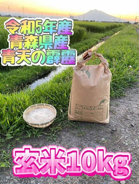 お米　令和5年度産　青森県産　最高峰ブランド米「青天の霹靂」産地直送　10キロ　玄米　減農薬　米　ごはん　新米　特A米　農家　玄米