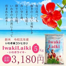 令和５年 お米 5kg Iwaki Laiki コシヒカリ 無洗米 福島県産 送料無料 精米 米_画像1