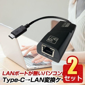 2個セット Type-C to 有線LAN RJ-45 変換ケーブル Windows Mac