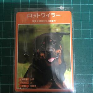 【犬種図鑑カード】 No.049 ロットワイラー