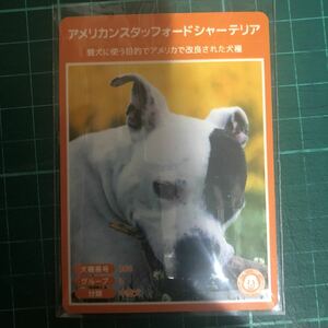 【犬種図鑑カード】 No.058 アメリカンスタッフォードシャーブルテリア
