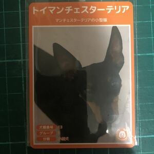 【犬種図鑑カード】 No.080 トイマンチェスターテリア