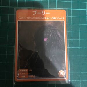 【犬種図鑑カード】 No.099 プーリー
