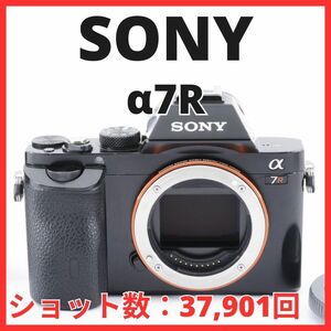 B19/5562A-67 / ソニー SONY α7R ボディ ILCE-7R 【赤外線改造カメラ】 