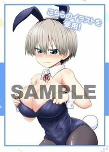 新品 「宇崎ちゃんは遊びたい！」 8巻 アニメイト限定 有償特典B2タペストリー 丈 バニー B2タペストリー