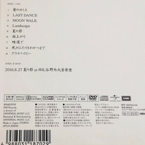 【きのこ帝国/愛のゆくえ】 佐藤千亜妃/初回限定盤CD＋DVDの画像2