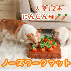 犬猫 ノーズワーク 訓練 にんじん畑 知育玩具 引っこ抜く 早食い防止 おもちゃ