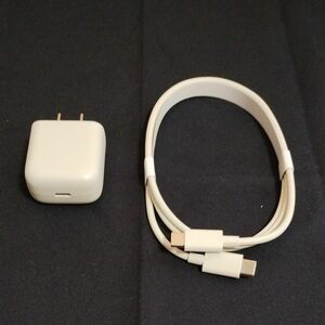 【未使用品】ICOS イルマ 充電器 (USB Power Adaptor)