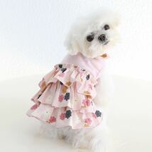 犬服　犬の服　ドッグウェア　ワンピース　犬　ピンク　S 春　小型犬　リボン　フリル　可愛い　おしゃれ　花柄_画像5