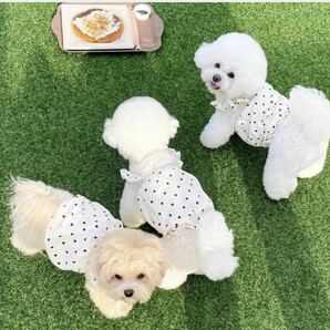 犬服 犬の服 ドッグウェア ワンピース XS 春 水玉 小型犬 可愛い 白 ホワイト ドット シンプル キャミワンピ おしゃれの画像4