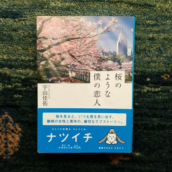 桜のような僕の恋人 （集英社文庫　う２３－２） 宇山佳佑／著