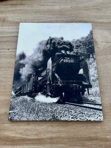SL D512381 蒸気機関車　写真パネル　ポスター　Photo by T.OHARA