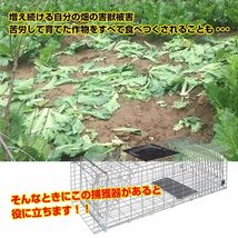 送料無料 捕獲器 踏み板式 Mサイズ 折りたたみ 全長65.5cm アニマル トラップ 動物 害獣 駆除 罠 ガード付き 軽量 庭 畑 農業 pt060-m_画像4