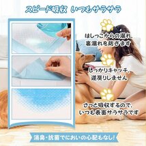 1円 ペットシーツ 薄型 レギュラー S 400枚 ワイド M 200枚 最安値 安い 業務用 トイレシート ペット シーツ 犬 猫 まとめ買い pt073_画像4