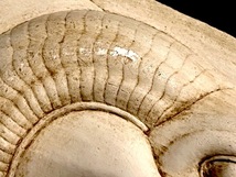 630109057　古代エジプト　羊の頭　レリーフ　メトロポリタン美術館　石材　壁掛け　壁飾り　インテリア　コレクション　彫刻_画像7