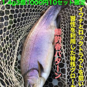 ロックトラウトハンターJr. 管釣り春パターン限定10個 初心者でも使い方簡単