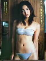 ヤングマガジン 2008年No.46 グラビア切り抜き 岩佐真悠子 乙黒えり 中川美樹 佐藤さくら 山崎真実(告知ページ)_画像2