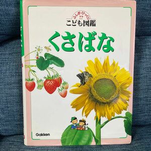 くさばな （ふしぎ・びっくり！？こども図鑑　第６巻） 高橋　秀男　監