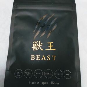 獣王 BEAST ビースト サプリ