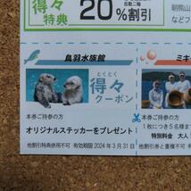 伊勢湾フェリー　割引券　匿名配送　非売品　伊勢志摩スカイライン　鳥羽水族館　ミキモト真珠島　鳥羽湾めぐりとイルカ島　_画像4