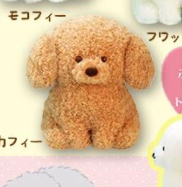 トイプーのモコフィー BIG ぬいぐるみ