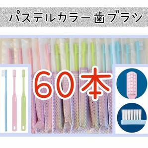 歯科専用歯ブラシ　パステルカラー60本