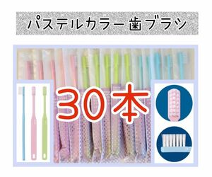 歯科専用歯ブラシ　 パステルカラー歯ブラシ30本