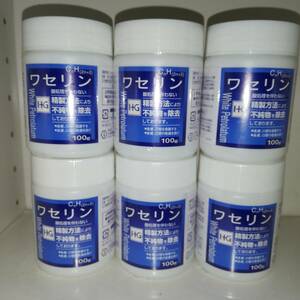 【6個セット】ワセリンHG 100g 白色ワセリン 大洋製薬【新品・送料込】