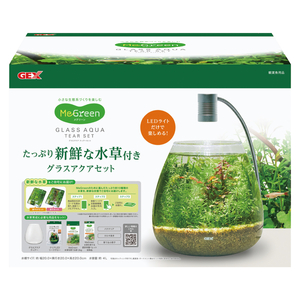 新商品　GEX　ジェックス　MeGreen（メグリーン） 新鮮な水草付き グラスアクアティアーセット