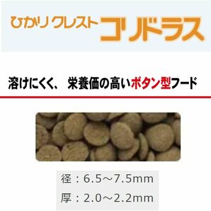 送料無料   キョーリン クレスト コリドラス 熱帯魚の餌 15g 2個セットと 餌やりスプーンの画像2