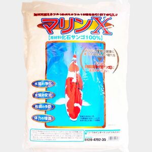 最後の1袋　マリンX（5Kｇ） 化石サンゴ100％　錦鯉 水質改善　疾病予防に！ 