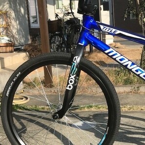 マングースBMX（TITLE） カーボンフォーク付きの画像2