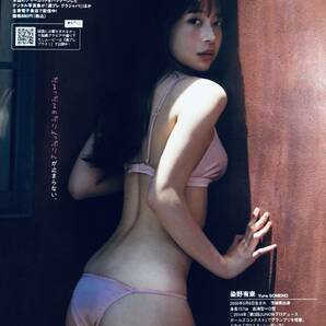 染野有来 （４枚組）雑誌切り抜き（B5判）０20の画像7