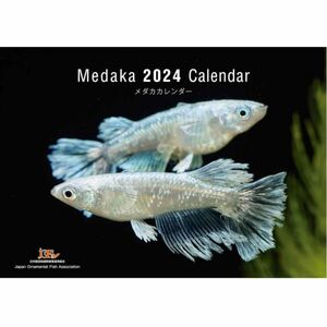 日本観賞魚振興事業協同組合Medaka Calendar メダカカレンダー 2024