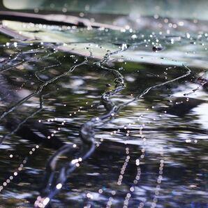 ガラスコーティング剤 ガラス系 カーワックス 艶出し 超撥水 防汚 UVカット タオル付き 匿名配送 100ml×2本の画像9