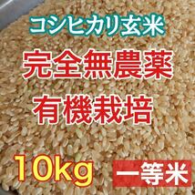 完全無農薬 有機栽培 10キロ 『一等米』令和5年 新米 コシヒカリ玄米 安心安全美味しいお米　発芽玄米になります！送料無料！精米無料　_画像1