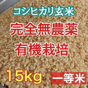 完全無農薬 有機栽培 15キロ 『一等米』令和5年 新米 コシヒカリ玄米 美味しい実家のお米 発芽玄米になります！送料無料！農家直送！