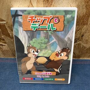 送料無料【Mえ928】チップとデール DVD リス