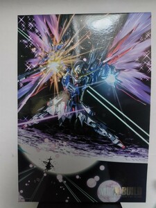 METAL BUILD デスティニーガンダム フルパッケージ 開封品済み中古 メタルビルド