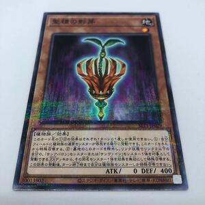 遊戯王 OCG SELECTION 10 SLT1-JP029 P-N 聖種の影芽